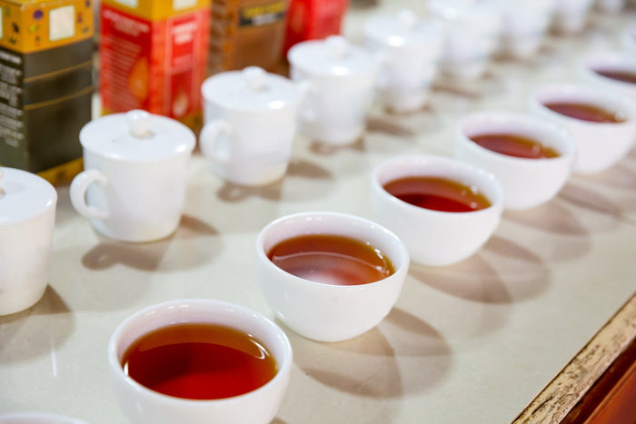 A row of white porcelain cups filled with rich amber-colored tea, set up for a professional tea tasting session. Lidded tea cups and tea packaging boxes in the background indicate a detailed tea evaluation process.