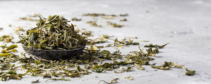 A close-up of premium loose-leaf white tea with delicate, fuzzy tea buds and leaves scattered on a textured surface, showcasing its natural and organic quality.
