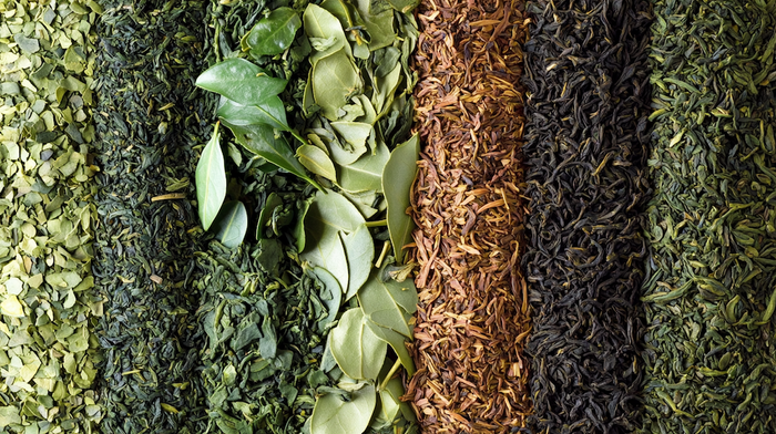 A close-up of loose-leaf green tea in various shades of green, showing the natural appearance of unprocessed tea leaves from the Camellia sinensis plant.