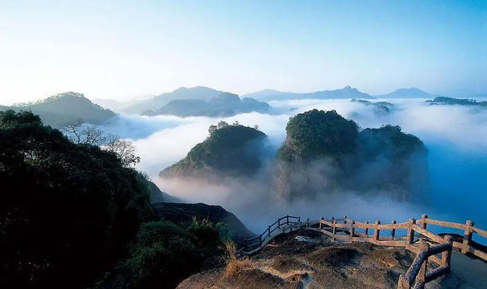 This breathtaking image showcases a misty mountain landscape, likely taken in the early morning. The scene features rocky peaks covered in dense greenery, emerging from a sea of clouds. The elevated viewpoint and the wooden railing in the foreground sugge